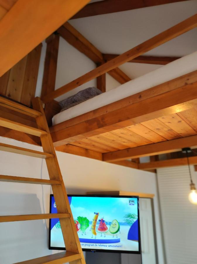 Apartment The Little White House Sibiu